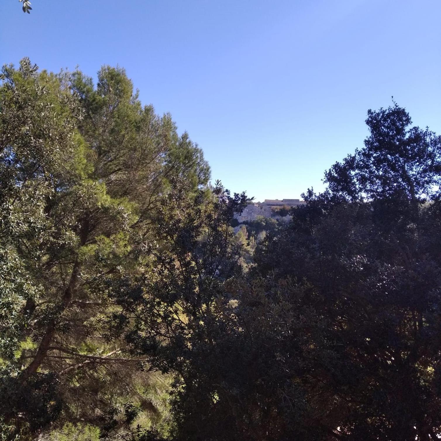 Es Niuet Lägenhet Cala Galdana  Exteriör bild